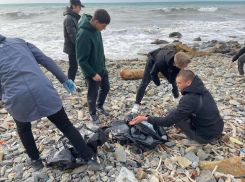 «Час чистоты» в Анапе собрал десятки неравнодушных горожан