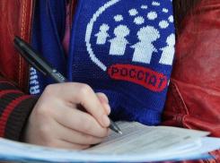 Анапчане смогут участвовать в онлайн-переписи населения