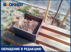 «Цветники есть – цветов нет»: анапчанка об улице Терской