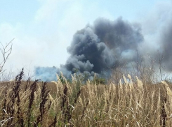 В посёлке Уташ под Анапой горят пшеничные поля в запретной зоне