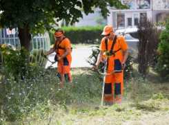 На уход за газонами на кладбищах Анапы выделили более 1,5 млн рублей