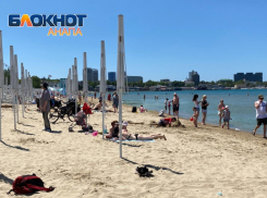 Все на пляже – камка тоже: купальный сезон в Анапе в самом разгаре