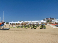 День младших братьев в Анапе будет солнечным