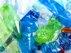 В Краснодарский крае планируют убрать из обихода пластиковую посуду 