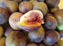 Какие сезонные фрукты можно купить в Анапе в сентябре и почём?