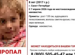 Пропавшую в Петербурге 8-летнюю девочку нашли в Анапе