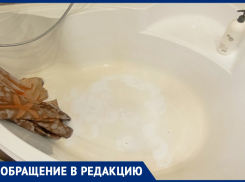  «Мы вымираем, живя в 21 веке»: жители Супсеха рассказали о проблемах с водоснабжением