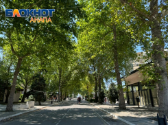 В Дeнь кулинapoв в Анапе будет солнечно