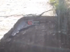  Один из анапчан сообщил, что в Сочи произошел обвал огромной части дороги