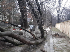 Как в Анапе устраняют последствия ночной стихии