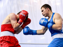 Представители Анапы отличились на первенствах страны по боксу