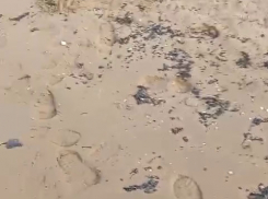 Произошли новые выбросы мазута