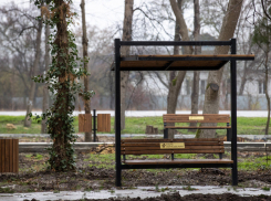 Наносят последние штрихи: реконструкция в парке «Виноделия» под Анапой близится к завершению