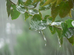 В субботу, 22 июня, в Анапе будет дождь