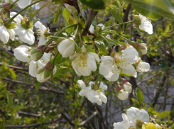 Во вторник, 7 апреля даже солнце не гарантирует анапчанам хорошую погоду