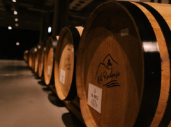 Анапа войдёт в туристический маршрут «Винные дороги Краснодарского края»