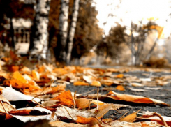 Во вторник, 28 ноября, анапчан ожидает малооблачная погода 