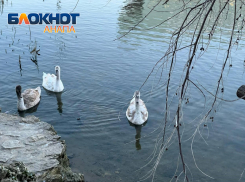 В Анапе 14 декабря ожидается мокрый снег