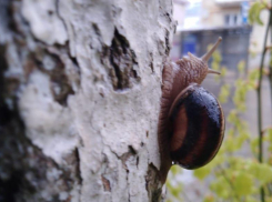 Погода на сегодня, 22 апреля: повезёт садоводам