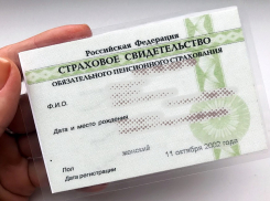  Анапским родителям больше не придётся самим оформлять СНИЛС на новорожденных детей