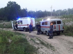 Анапчанка потерялась в лесу под Крымском