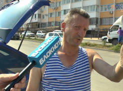 В Анапе заросли амброзии опыляют детский сад