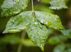 Сегодня, 19 сентября, в Анапе будет пасмурно и прохладно