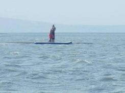 Кого вчера спасли на Бугазской косе по соседству с Анапой