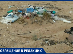 «Изумительное зрелище»: на пляже под Анапой очередная свалка 