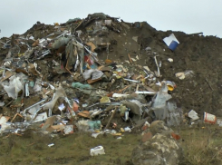 Прокуратура «откопала» под Анапой свалку отходов, которую пытались по-быстрому скрыть