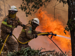 В Благовещенской под Анапой от удара молнии загорелась трава