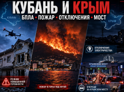 БПЛА, 50 гектаров огня и 600 машин у Крымского моста: что происходит на Кубани и в Крыму 21 августа