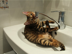 Где в Анапе отключат воду 27 и 28 августа