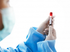 Анапчане могут сдать кровь для пострадавших в «Крокус Сити Холле»