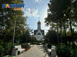 Мэр Анапы Василий Швец поздравил кубанцев с Днем основания Краснодарского края