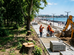 Зелёные зоны Анапы под угрозой: куда исчезают деревья и во что превращается благоустройство города