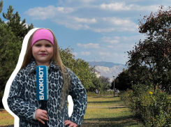 «Шикарно, но мы против сноса забора»: мнение анапчан о парке «Ореховая роща» после частичного обновления