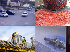 Браконьеры и угон отечественного авто – чем анапчанам запомнилась уходящая неделя