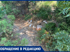 «Это чудовищно»: в Анапе жители пожаловались на беспорядок на Утрише