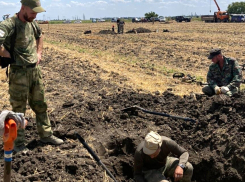 Анапчане приняли участие в поиске захоронений погибших во время Великой Отечественной войны