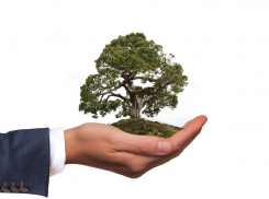 День эколога, 5 июня, в Анапе до обеда дождь, а потом солнце