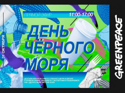 Greenpeace проведет прямой эфир с берега моря в Анапе
