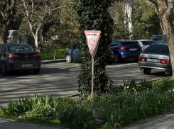 В День российского стоматолога в Анапе пасмурно и без осадков