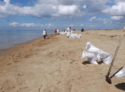 С пляжа под Анапой убрали свыше 1000 мешков грунта с нефтепродуктами