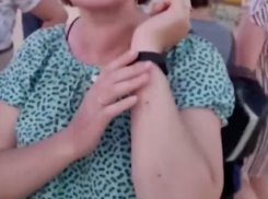 Аномальная жара, шквальные ливни: ученые объяснили нашествие насекомых на Анапу