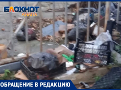 «Город маргиналов»: анапчанка жалуется на «призрачную» работу мэра и депутатов