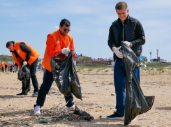  В станице под Анапой прошел экологический субботник