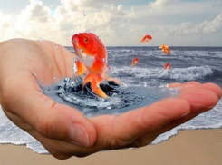 Где в Анапе в июне за ваши улыбки раздают крутые призы?