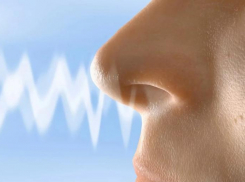 Анапчане считают, что зловоние - одна из главных проблем Анапы