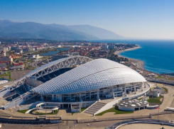 С 4 июля анапчане могут оформить в МФЦ карту футбольного болельщика